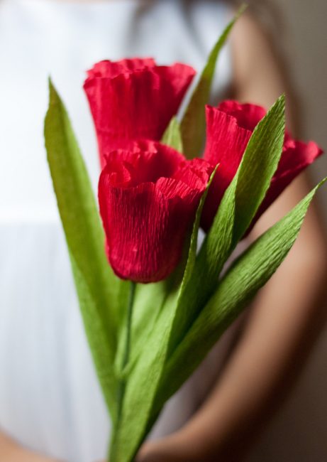 Excelentes tulipanes hazlo tu mismo