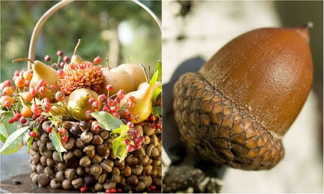 Crafts from acorns and chestnuts are stored for a long time.