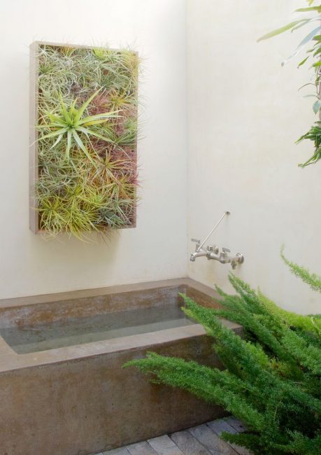 Utilisez des plantes qui aiment l'humidité dans la salle de bain