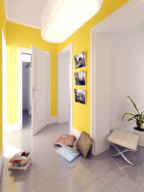 Option for a bright hallway