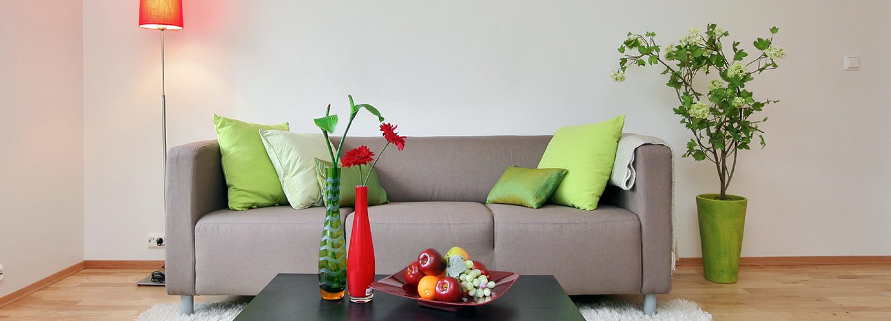 Plants help revive the living room