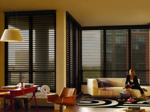 Qué son las persianas en las ventanas (más de 200 fotos): varias opciones de diseño para su hogar