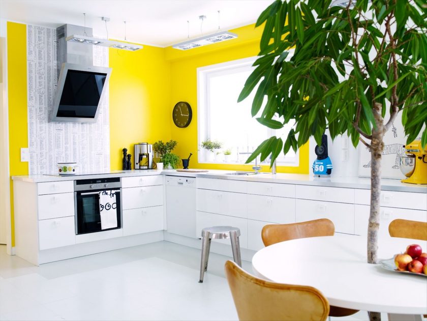 المطبخ باللون الأصفر 135+ (صور) التصميمات الداخلية للمجموعات الساطعة