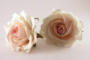 Grandes et petites roses de Foamiran: 150+ (Photo) avec instructions pas à pas. 7 master classes détaillées pour débutants