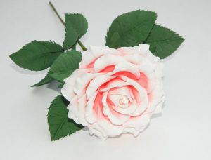 Hoa hồng lớn và nhỏ từ Bọt biển: 150+ (Ảnh) với hướng dẫn từng bước. 7 lớp học chi tiết cho người mới bắt đầu