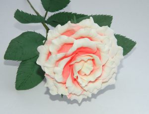 Mawar besar dan kecil dari Foamiran: 150+ (Foto) dengan arahan langkah demi langkah. 7 kelas induk terperinci untuk pemula