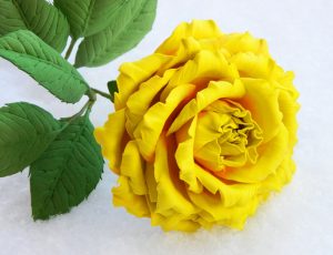 Stora och små rosor från Foamiran: 150+ (Foto) med stegvisa instruktioner. 7 detaljerade huvudklasser för nybörjare