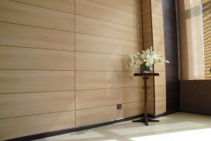 Πάνελ PVC για τοίχους: 235+ (φωτογραφία) για το εσωτερικό σας (για κουζίνα, μπάνιο, διάδρομο)