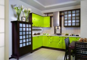 Combinația de culoare verde deschisă în interioare moderne moderne: 185+ (Photo) Design pentru bucătărie, living, dormitor