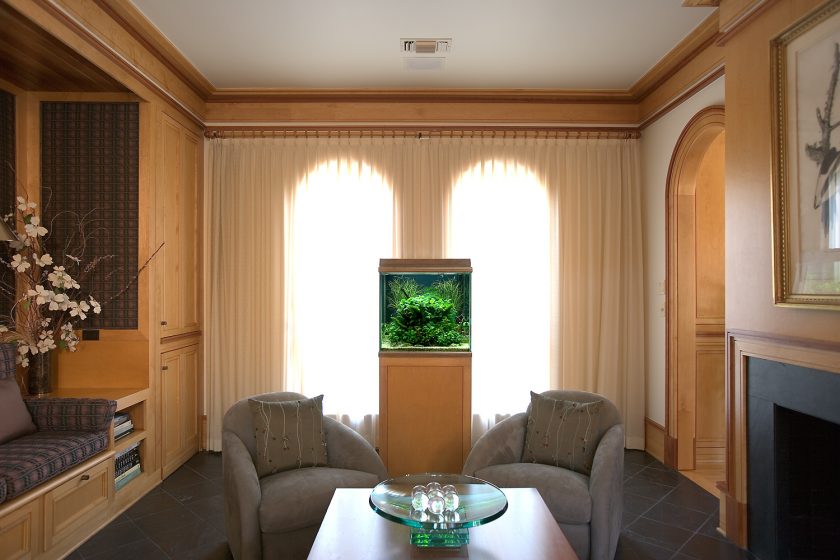 Аквариум във вътрешността на апартамент или къща: 145+ (Фото) видове за декорация на вашия дизайн (ъгъл, суха, разделителна стена, малка)