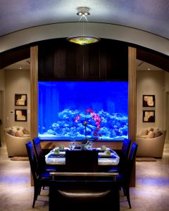 Aquarium à l'intérieur d'un appartement ou d'une maison: 145+ (Photo) types pour la décoration de votre design (coin, sec, cloison, petit)