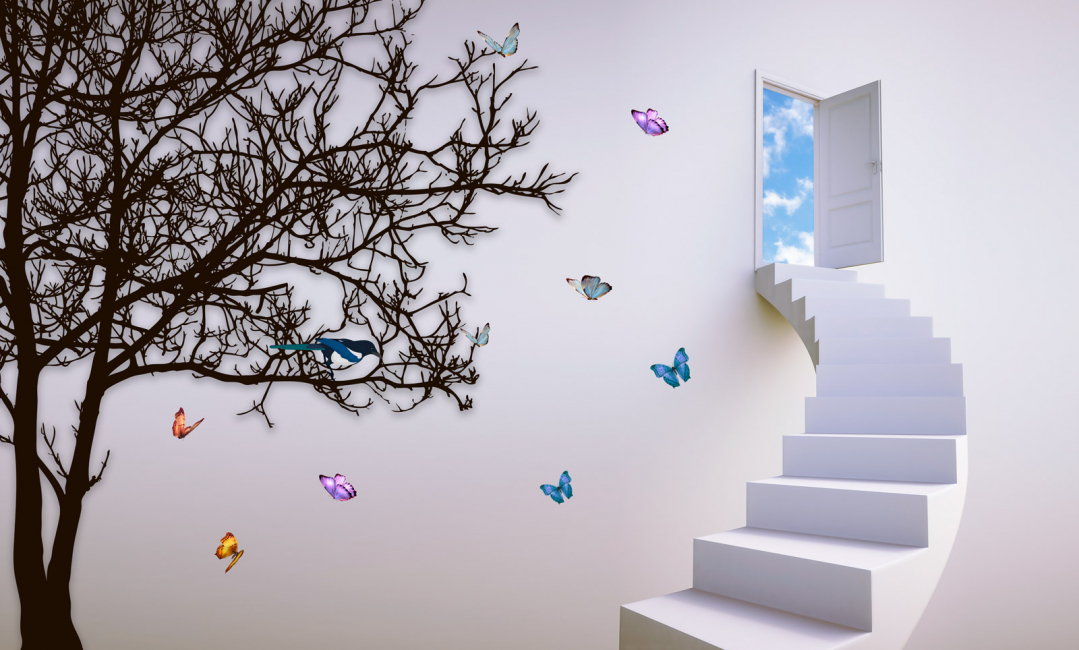 Farfalle di carta in serie su un muro che corre lungo la struttura