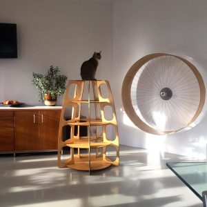 Come fare una casa per un gatto con le tue mani passo dopo passo? 150+ (foto) di legno, cartone, scatole, con un raschietto