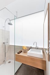Design del bagno in una casa in legno (oltre 200 foto): decorazione fai-da-te (soffitto, pavimento, pareti)