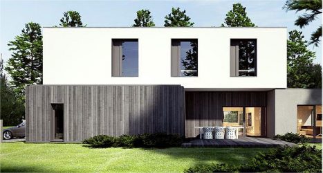Come scegliere i pannelli frontali per una casa di campagna? 230+ (foto) Finiture esterne (pietra, mattoni, legno)