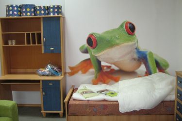 خلفية صور على الحائط في غرفة المعيشة وغرفة النوم والمطبخ والطفل: 205+ صور داخلية جذابة