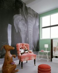 लिविंग रूम, बेडरूम, रसोई और बच्चे में दीवार पर फोटो वॉलपेपर: 205+ फोटो आकर्षक अंदरूनी