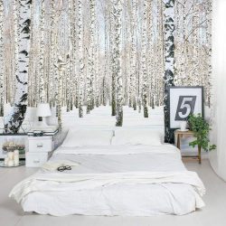 बेडरूम के इंटीरियर में फोटो वॉलपेपर: 205+ (फोटो) आराम बनाने के लिए सुंदर विचार