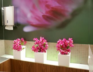 Artificial flowers for home interior: Beauty for many years (bouquets, compositions, ekibany)