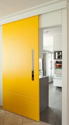 الأبواب الداخلية في الجزء الداخلي للشقة (305+ صور): خيارات أنيقة وعصرية