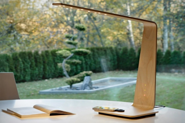 Masa lambası için lamba: Her iç mekanda önemli bir aksesuardır (160+ Banyo, mutfak, oturma odası için fotoğraflar)
