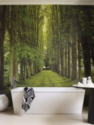 Vad är den bästa tapeten för att limma badrummet? Vätska, vinyl, tvätt, fuktbeständig - välj den mest praktiska (115 + bilder)