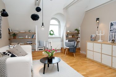 Más de 230 fotos Ideas interiores 1er (habitación) Apartamentos de 40 metros cuadrados. Diseño moderno simple y elegante.