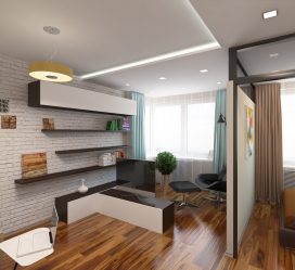 230+ Fotografii Idei de interior 1-a (cu o cameră) Apartamente de 40 mp. Design simplu și elegant, modern