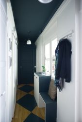 Tùy chọn nội thất trong Hành lang: 225+ Thiết kế hình ảnh (đá / laminate / gạch / bích họa). Màu tường nào tốt hơn?