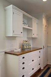 PVC-Paneele für Wände: 235+ (Foto) für Ihr Interieur (für Küche, Bad, Flur)