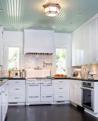 PVC-panelen voor wanden: 235+ (foto) voor uw interieur (voor keuken, badkamer, hal)