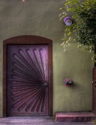 Ingang kunststof deuren in een privé-huis (145+ foto): Hoe te maken en veilig en mooi?