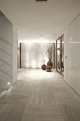 Tuiles sur le sol dans le couloir (245+ Photos) - Comment choisir et mettre? Options modernes et belles