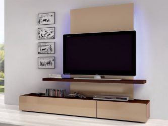 TV shelf on the wall (295+ Photos): Design nuances (hinged, corner, glass)