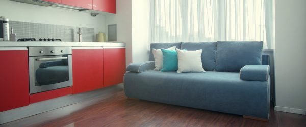 Модерни прави и тесни дивани с зона за спане от А до Я (175+ снимки в кухнята и в хола)