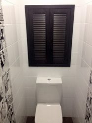 Shutters di tandas - Pilihan lelaki moden. 70+ (Foto) pilihan dan nuansa pemasangan mereka