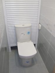 Obloane în toaletă - Alegerea omului modern. Opțiunile de 70+ (Foto) și nuanțele instalării acestora