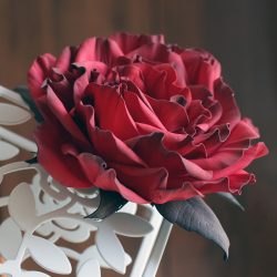Големи и малки рози от Foamiran: 150+ (снимка) с инструкции стъпка по стъпка. 7 детайлни майсторски класа за начинаещи