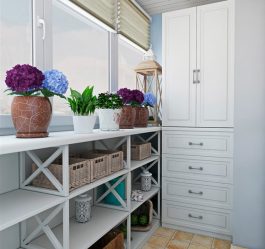 تصميم شرفة مع خزانة الملابس - نحن توفير مساحة الشقة (165+ صور). كيف تصنع خزانة جميلة بيديك؟