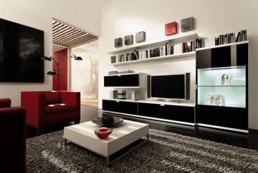 Mooie kastenwand in de woonkamer: 140+ foto's van grote en modulaire muur