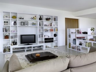 Mooie kastenwand in de woonkamer: 140+ foto's van grote en modulaire muur