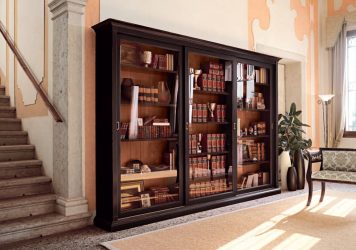 Biblioteci cu uși de sticlă - 170+ (Foto) Opțiuni model