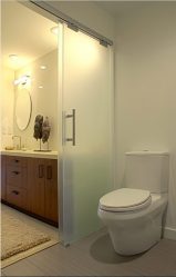 욕실의 커튼 선택 : 디자인 (패브릭, 플라스틱, 유리)을위한 175+ (사진)