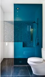 La elección de las cortinas en el baño: 175+ (foto) para su diseño (tela, plástico, vidrio)