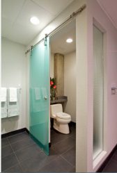 욕실의 커튼 선택 : 디자인 (패브릭, 플라스틱, 유리)을위한 175+ (사진)