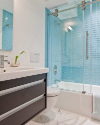 La scelta di tende in bagno: 175+ (Foto) per il tuo design (tessuto, plastica, vetro)