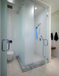 ทางเลือกของผ้าม่านในห้องน้ำ: 175+ (ภาพ) สำหรับการออกแบบของคุณ (ผ้าพลาสติกแก้ว)