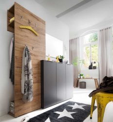 Modernes Design des Flurs in der Wohnung / Haus (+200 Fotos): die neuesten Nachrichten von 2017