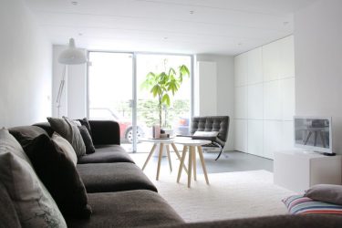 아파트 내부의 현대적인 스타일 : 현대에서 현대까지
