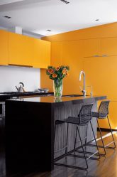 Wenge im Innenraum: 160+ (Foto) Farbkombinationen mit Möbeln (Design des Wohnzimmers, des Schlafzimmers, des Flurs)
